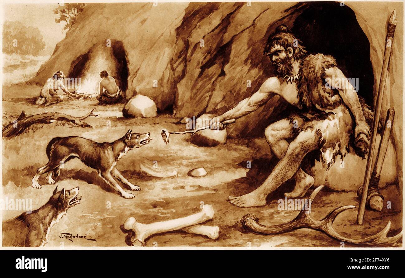 Illustration eines Höhlenbewohner, der seinen Hunden Fleisch füttert,  wahrscheinlich um die Domestizierung von Hunden zu zeigen, aus einer Reihe  von Schulplakaten, die für Sozialstudien verwendet wurden, c 1930.  Evolutionisten fördern die Idee