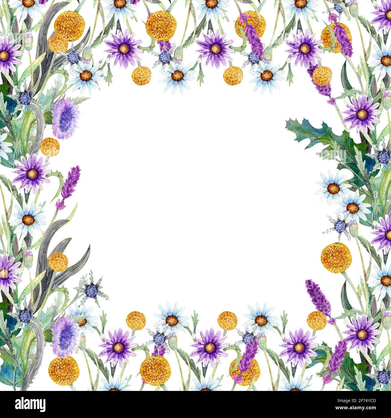 Romantischer Rahmen. Wildblumen in Aquarell. Hochzeitskonzept mit Blumen. Blumenposter, Einladung. Aquarell-Arrangements für Grußkarte oder Stockfoto