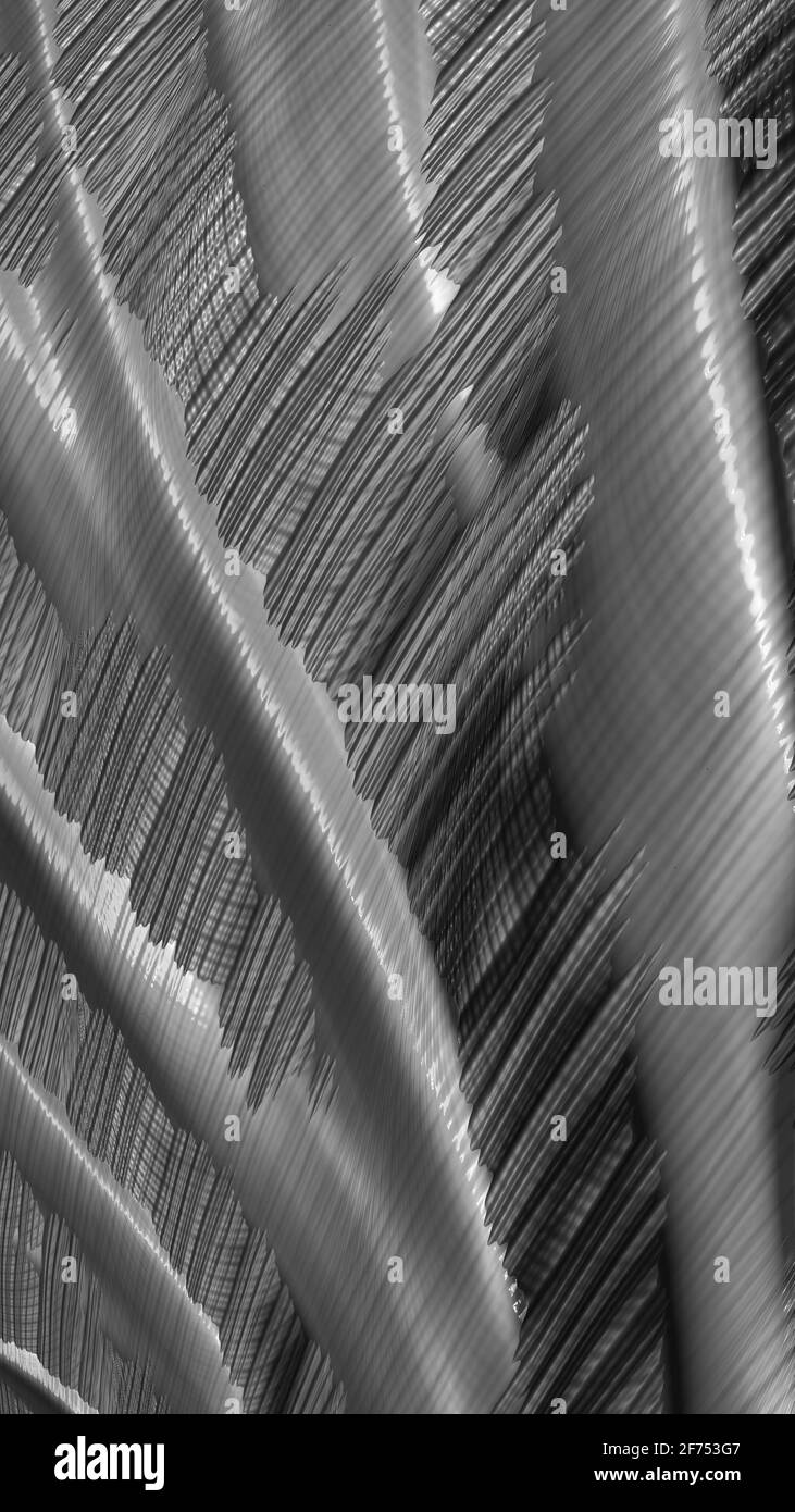 Künstlerischer und phantasievoller, digital gestalteter abstrakter 3D-Fraktalhintergrund in Schwarz und Weiß Stockfoto