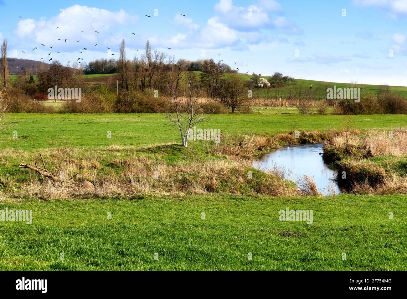 Das idyllische Naturschutzgebiet Bingenheimer Ried, in dem viele Wildvögel leben, liegt westlich von Bingenheim (Wetterau) in der Horloff-Aue. Stockfoto