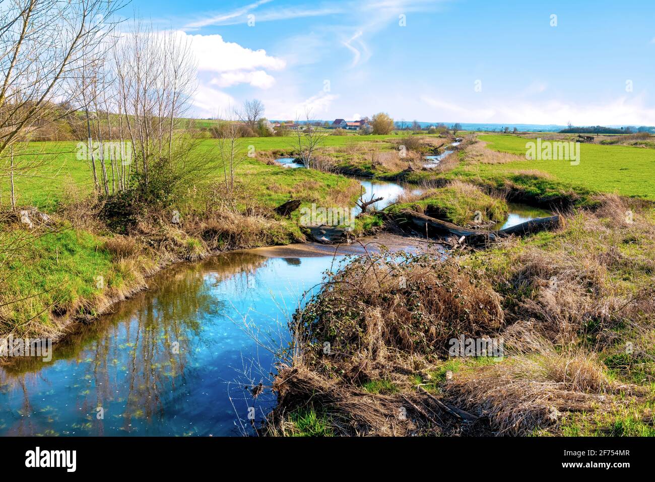 Das idyllische Naturschutzgebiet Bingenheimer Ried, in dem viele Wildvögel leben, liegt westlich von Bingenheim (Wetterau) in der Horloff-Aue. Stockfoto