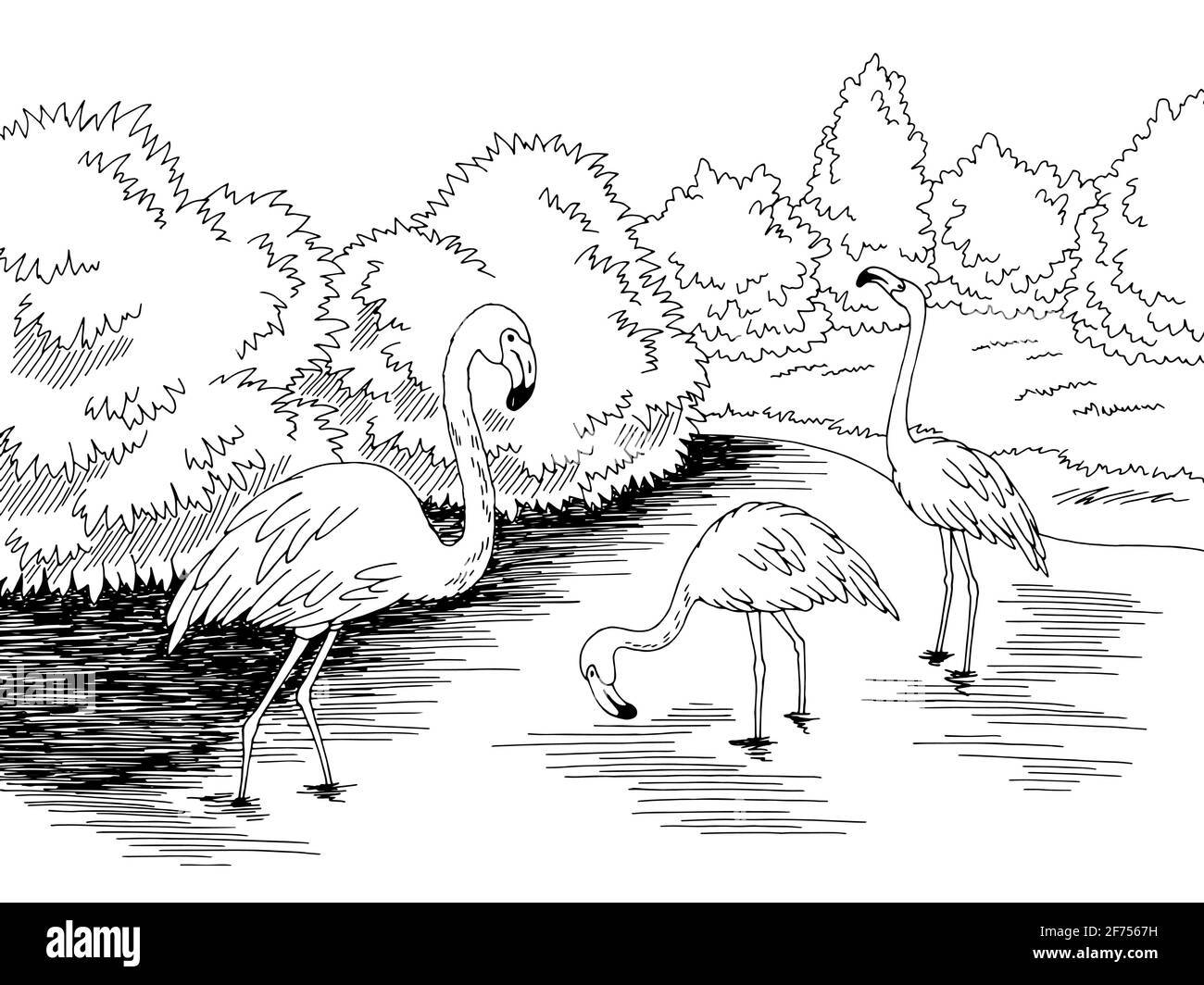 Flamingo See Vogel Grafik schwarz weiß Landschaft Skizze Illustration Vektor Stock Vektor