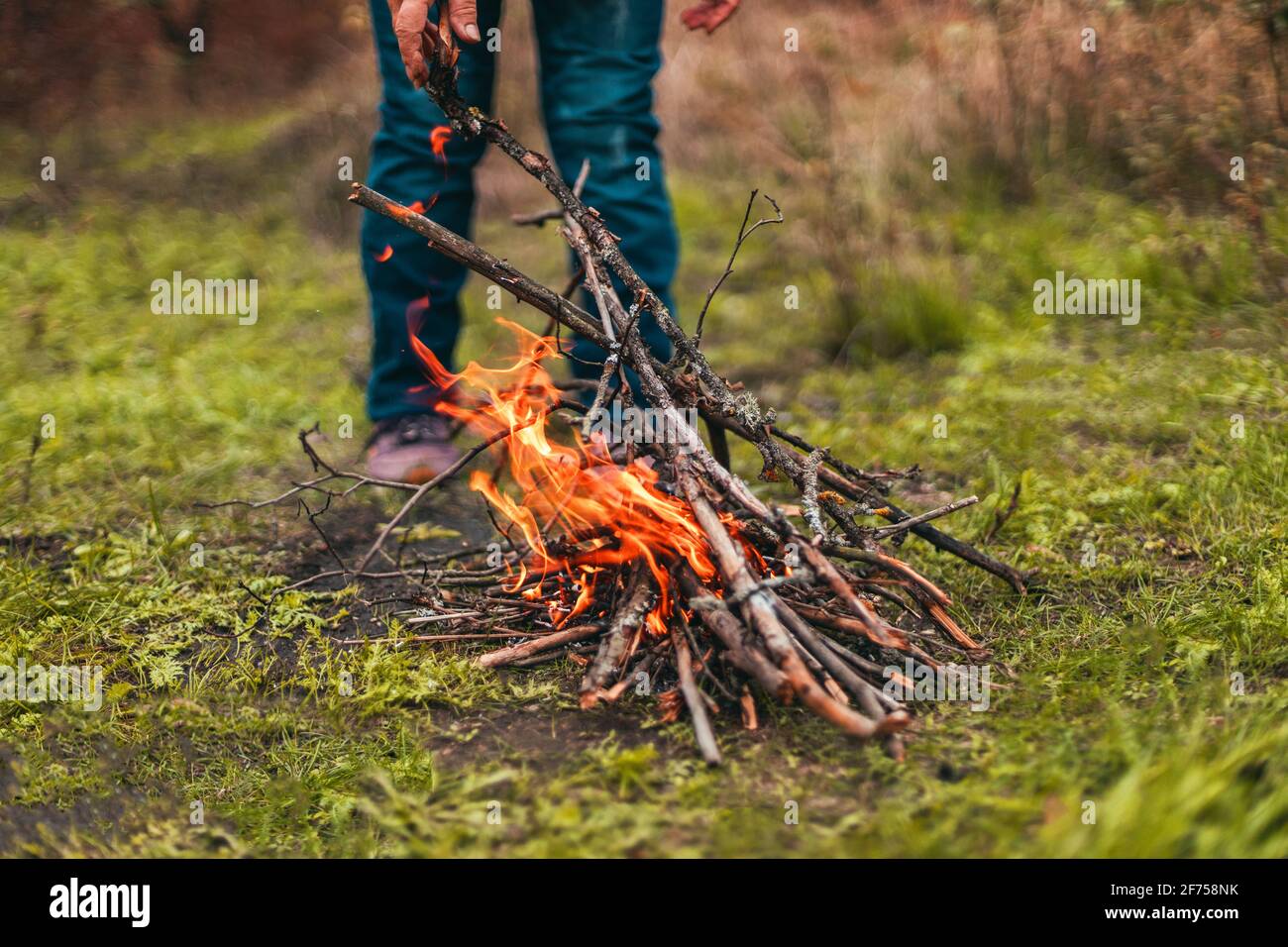 Frauenhänden entzünden ein großes Lagerfeuer im Wald. Person, die Feuer macht Stockfoto