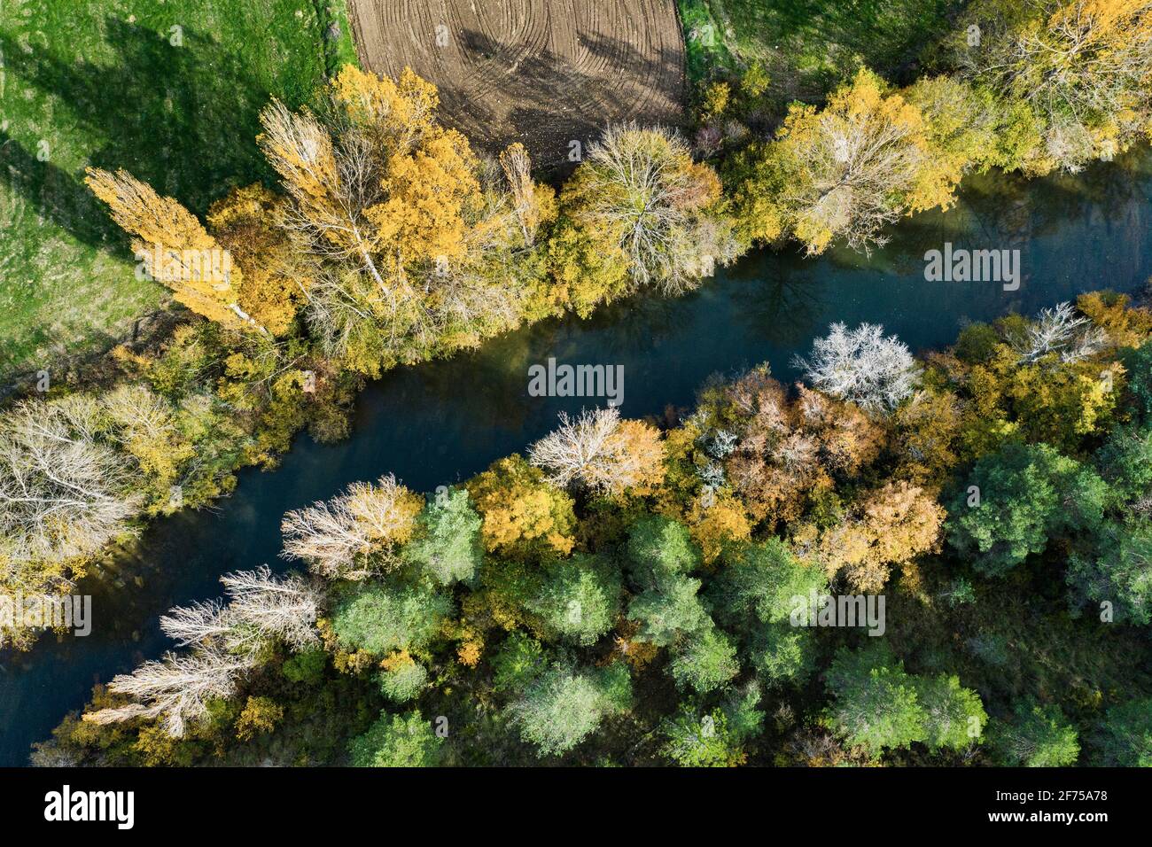 Luftaufnahme eines Flusses mit Ufervegetation im Herbst. Stockfoto
