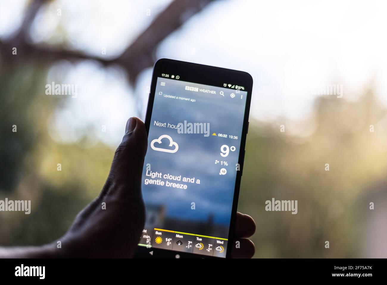 BBC Wetter-App mit einem grauen Himmel Hintergrund Blick auf den Garten Stockfoto