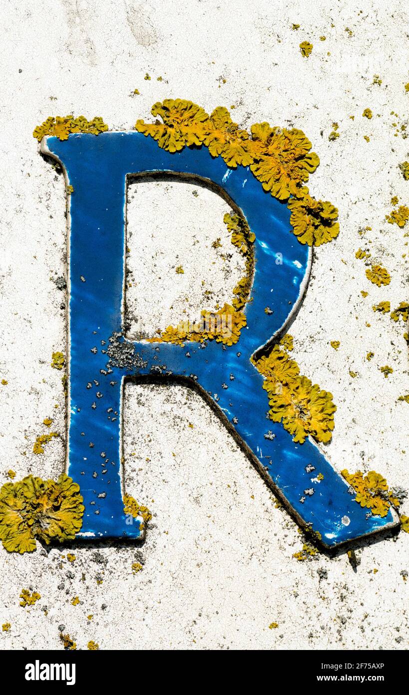 Ein Buchstabe R mit Flechten, Teil eines Straßenschildes, Warwick, Großbritannien Stockfoto
