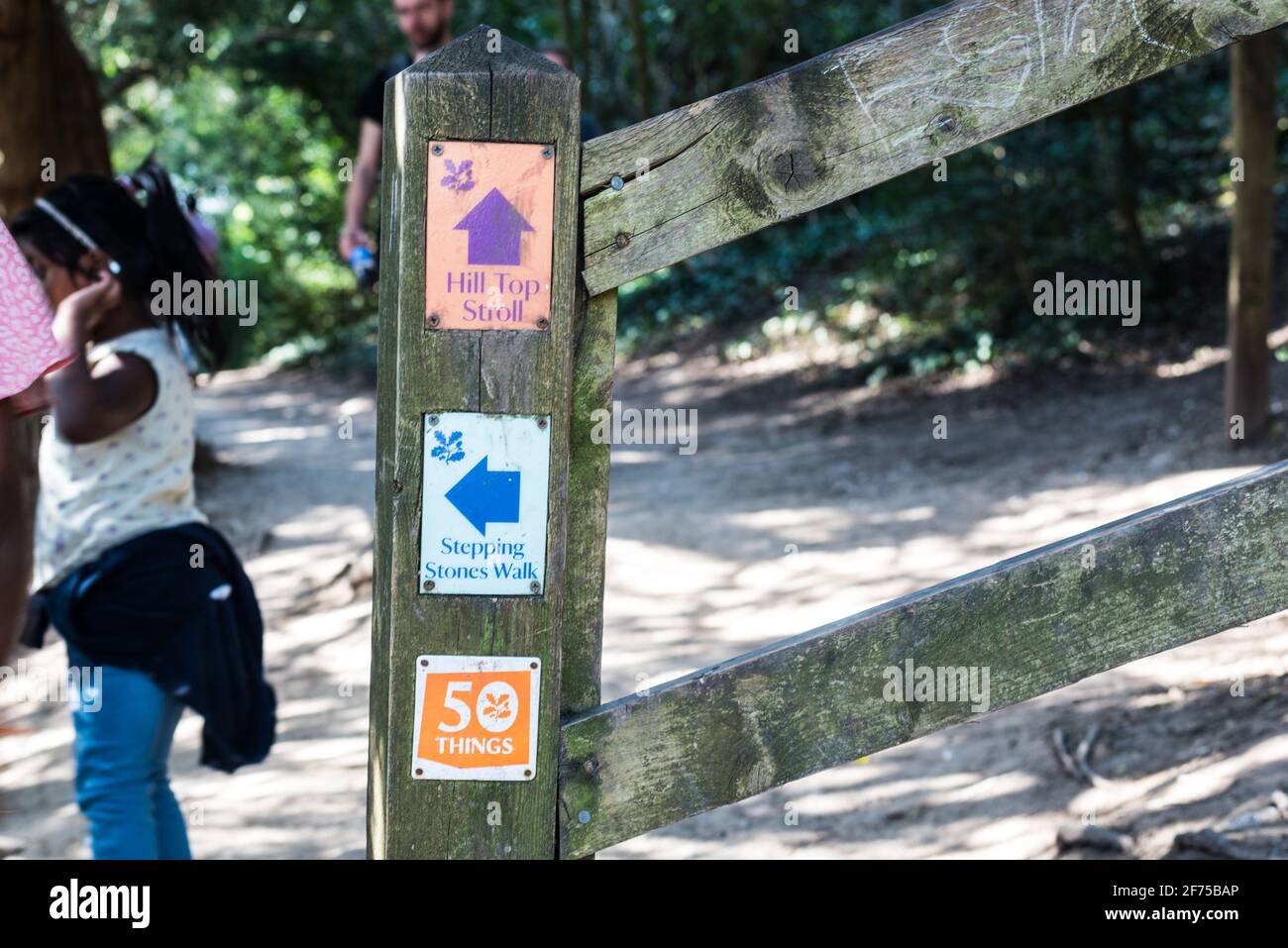 North Downs Wanderweg Wegmarkierung auf Holzpfosten in Box Hügel Stockfoto