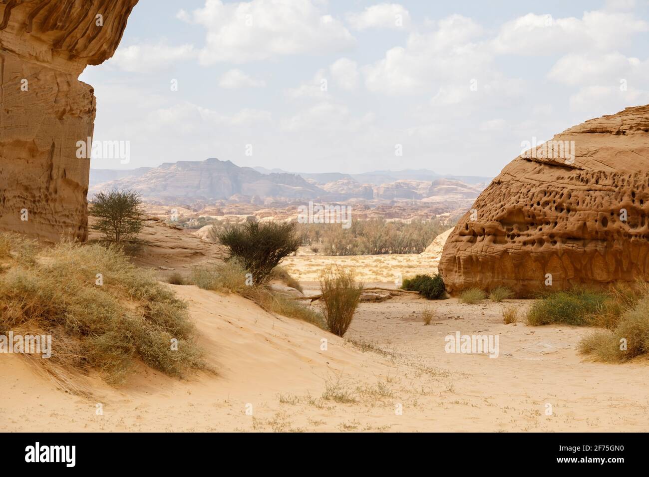 Landschaft in Al Ula, Saudi-Arabien Stockfoto