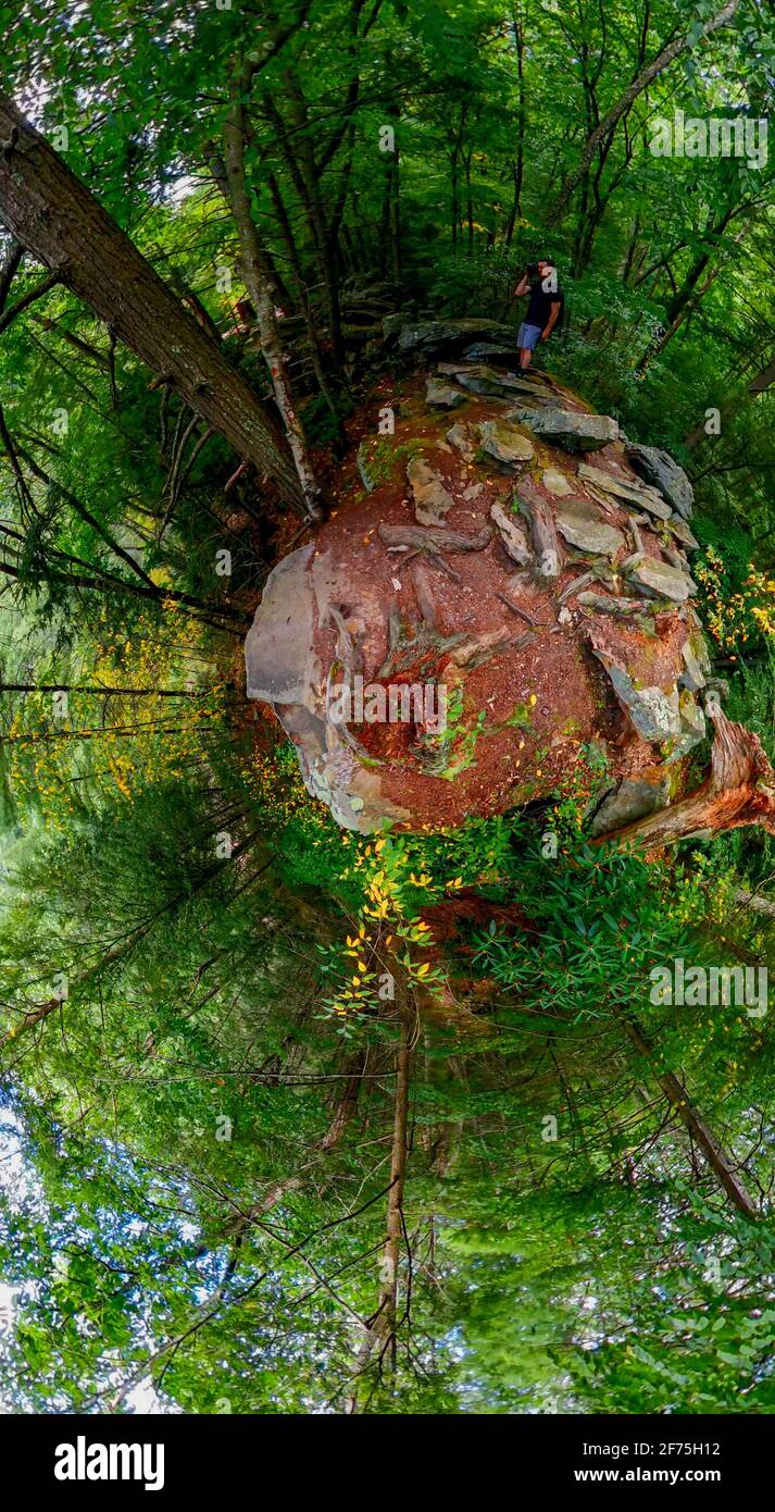 Eine Lücke in der Baumkrone, wo ein Baum einmal Stand Stockfoto