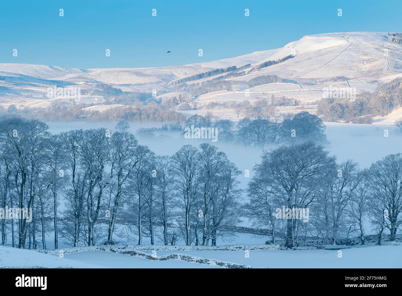 Winterlandschaft in Wensleydale bei Hawes im Yorkshire Dales National Park, Großbritannien. Stockfoto