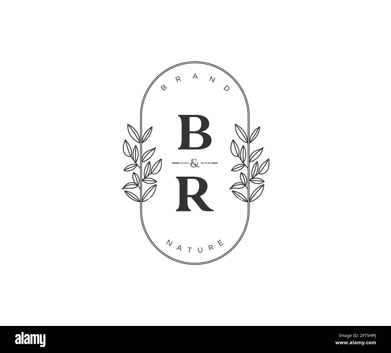 BR Buchstaben schöne floral feminin editierbar vorgefertigten Monoline Logo geeignet für Spa Salon Haut Haar Schönheit Boutique und Kosmetik Unternehmen. Stock Vektor