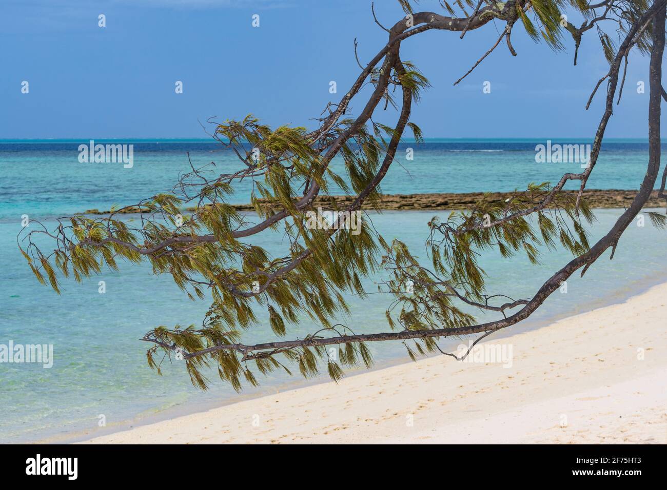 Panoramablick auf den Strand von Heron Island, Southern Great Barrier Reef, Queensland, QLD, Australien Stockfoto