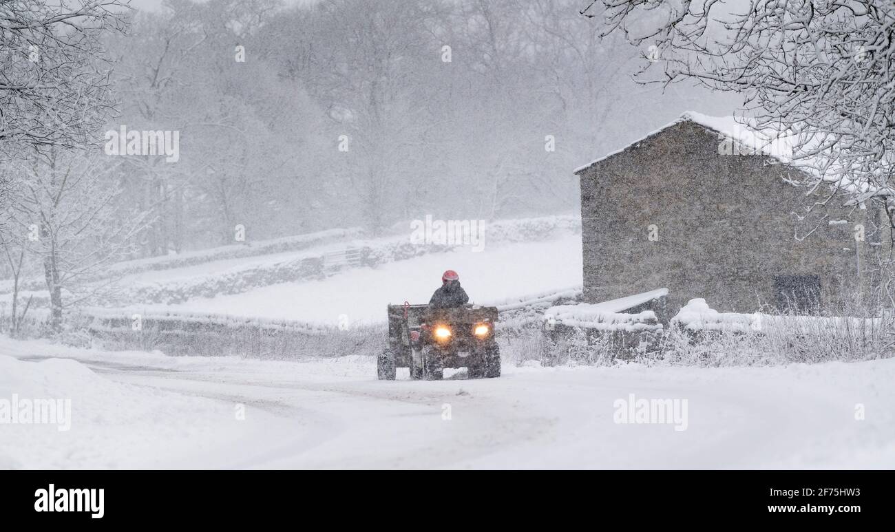 Landwirt auf einem Quad mit Anhänger voller Heu, der eine schneebedeckte Straße entlang fährt, um Schafe zu füttern. Hawes, North Yorkshire, Großbritannien. Stockfoto