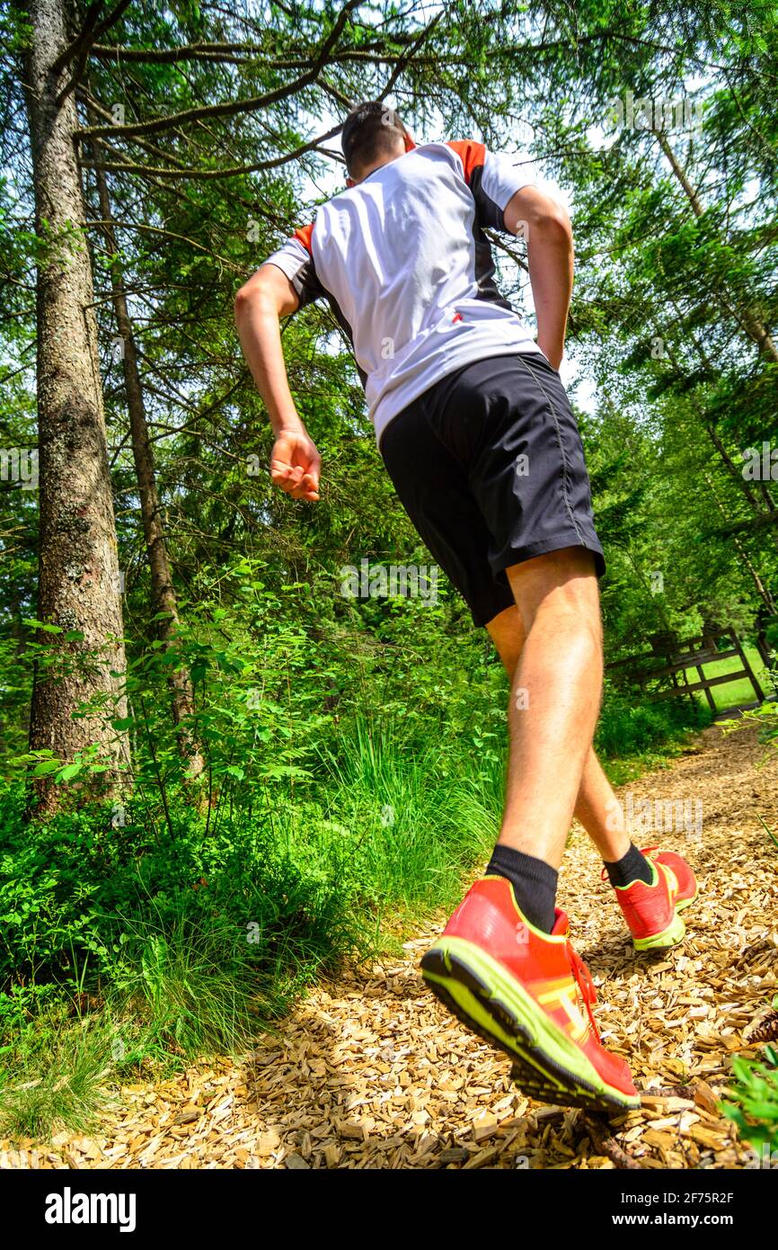 Junge Menschen joggen auf einem Waldweg, gemeinsames Lauftraining für zwei. Stockfoto
