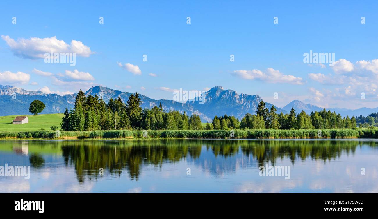 Idyllischer Blick auf einen kleinen Teich im Alpenvorland im östlichen Allgäu Stockfoto