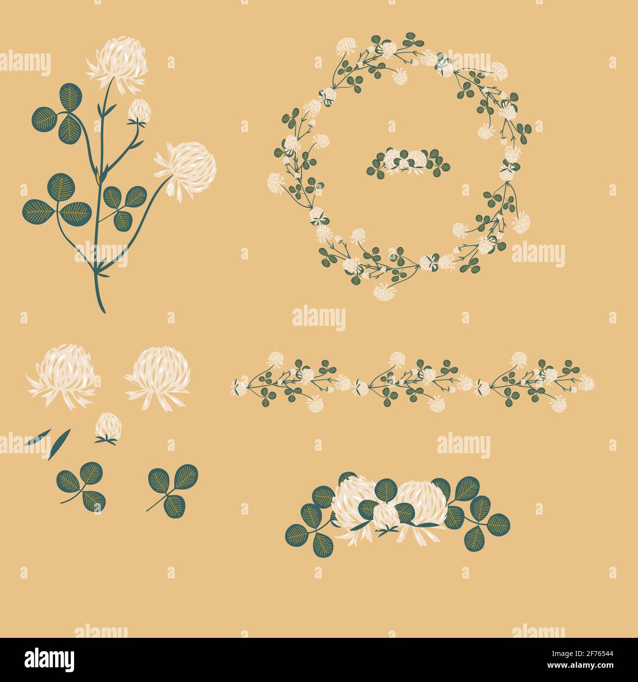 Weißes Kleeblatt. Wilde Wiesenblumen Cliparts isoliert Stock Vektor