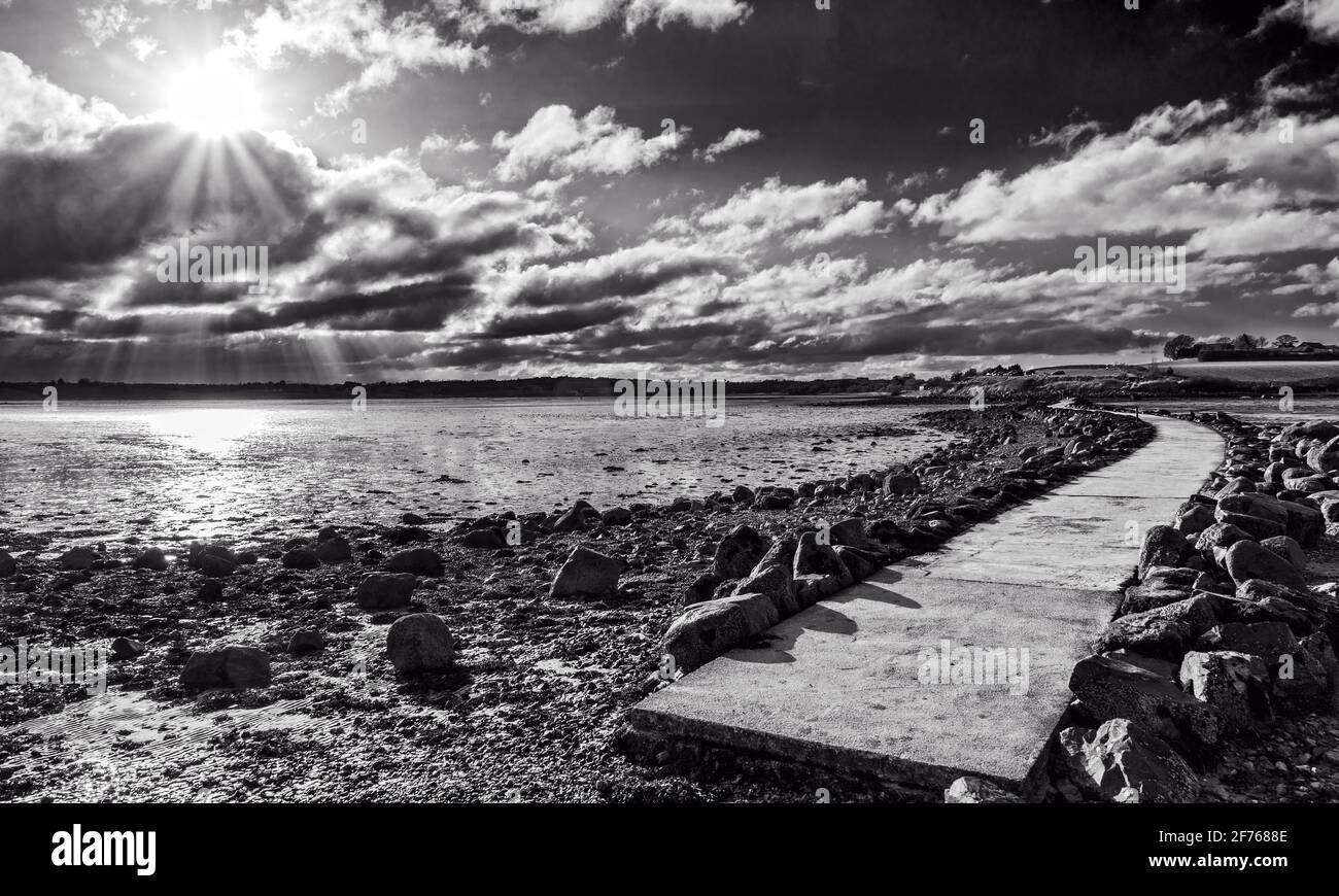 Das Ende des Causeway von Island Hill nach Rough Island am Strangford Lough, County Down, Nordirland Stockfoto