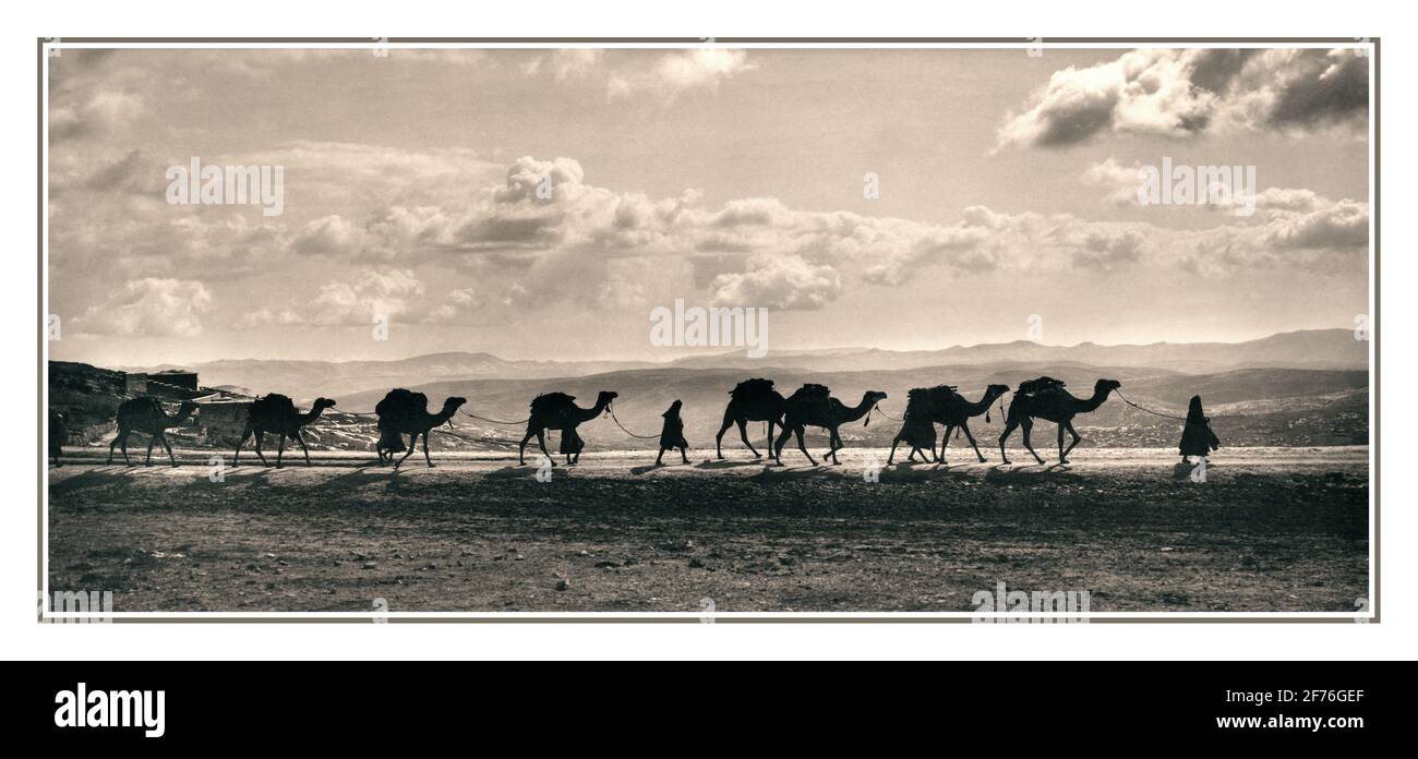 ÄGYPTEN KAMEL ZUG TREK JAHRGANG '1900 Ägyptische Kamel Kamele Zug Trekking Jahrgang Transport Waren Wüste vorbei Olivet, 1918.' Egypt B&W Historic Old Traditional Transport Stockfoto