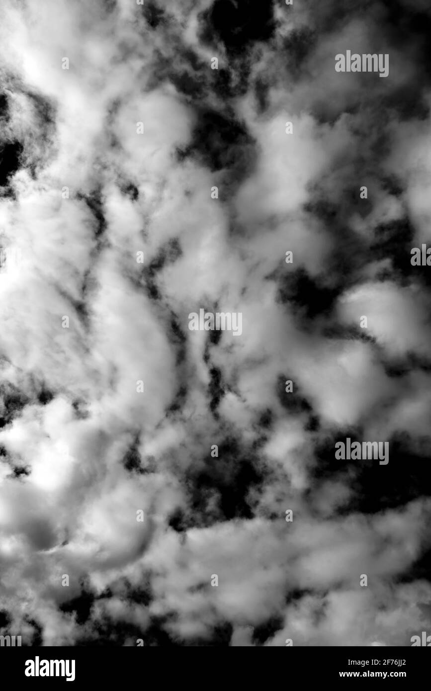 Cloudscape Hintergrund Textur der weißen flauschigen Cumulus Wolken, Schwarz und Weiß monochrom Stock Foto Bild Stockfoto