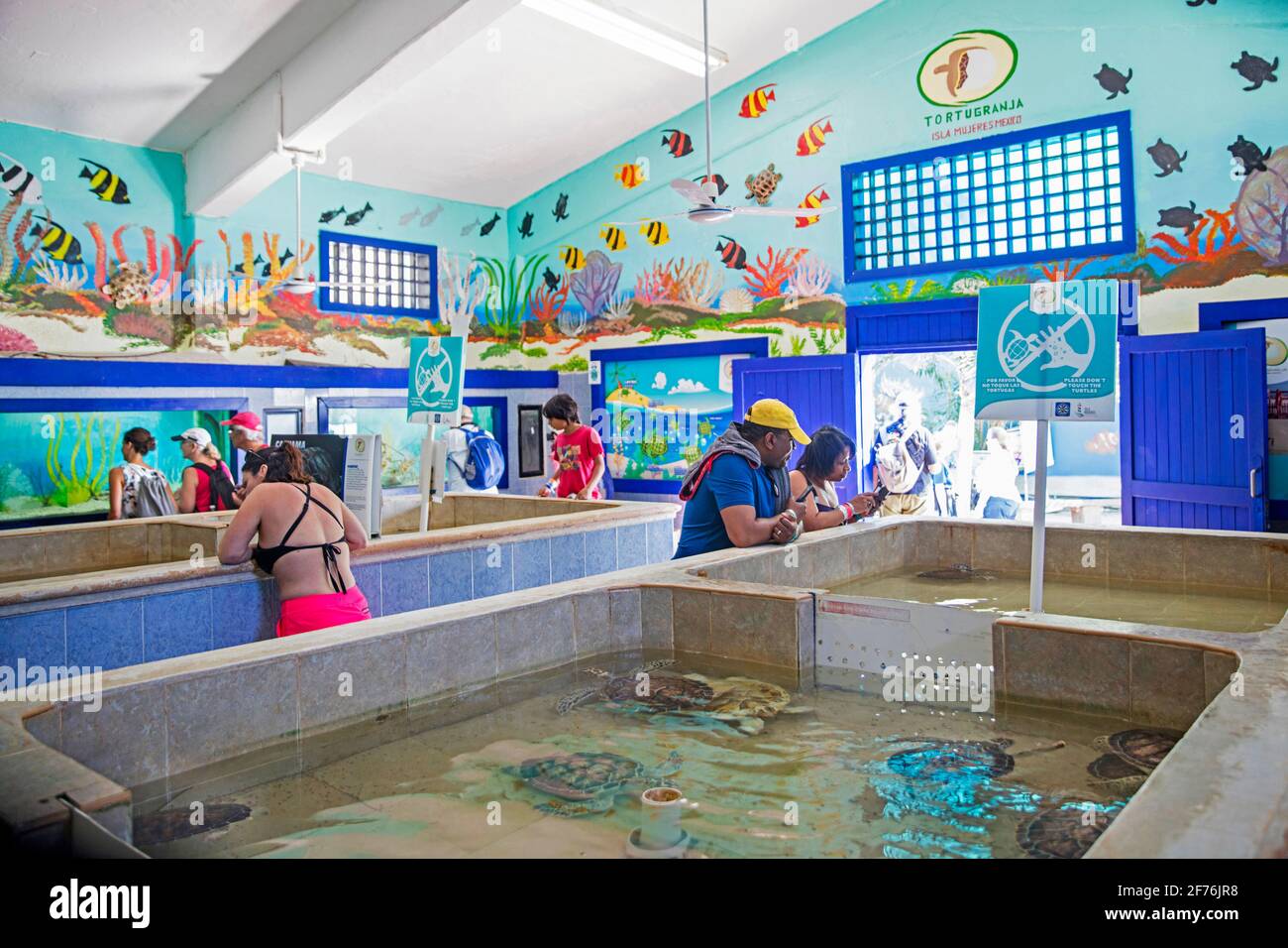 Touristen besuchen Tortugranja, Meeresschildkröten Brüterei und Heiligtum auf Isla Mujeres, Insel im mexikanischen Bundesstaat Quintana Roo, Halbinsel Yucatán, Mexiko Stockfoto