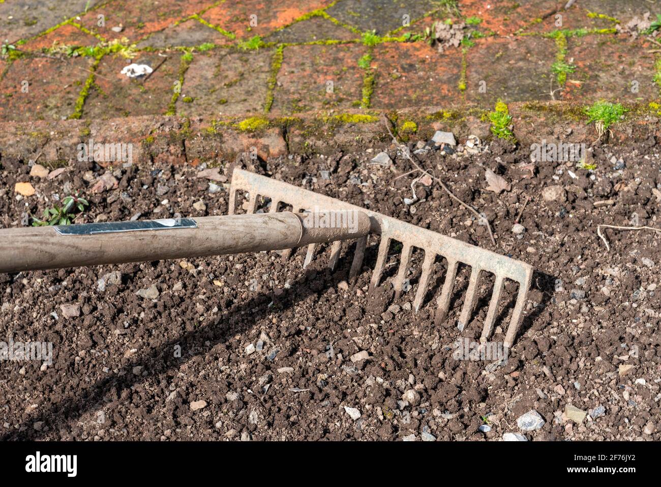 Gartenrechen wird verwendet, um den Schmutz Erde eines Gartenblumenbeet vor dem Pflanzen vorzubereiten, Stock Foto Bild Stockfoto