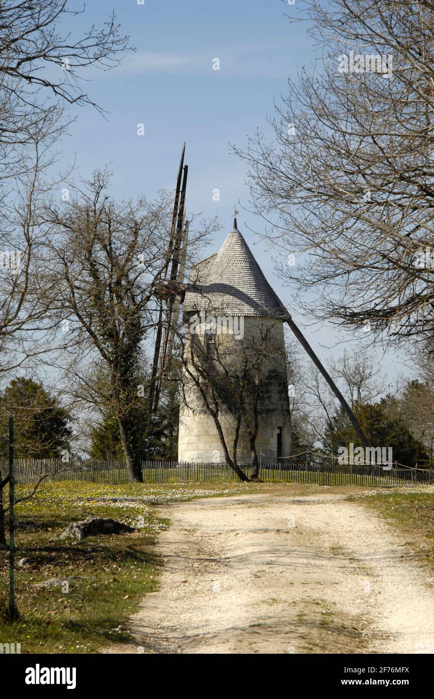 DIE MITTELALTERLICHE DORFBURG UND WINDMÜHLE VON LA TOUR BLANCHE IN DER DORDOGNE AQUITAINE FRANKREICH © FRÉDÉRIC BEAUMONT Stockfoto