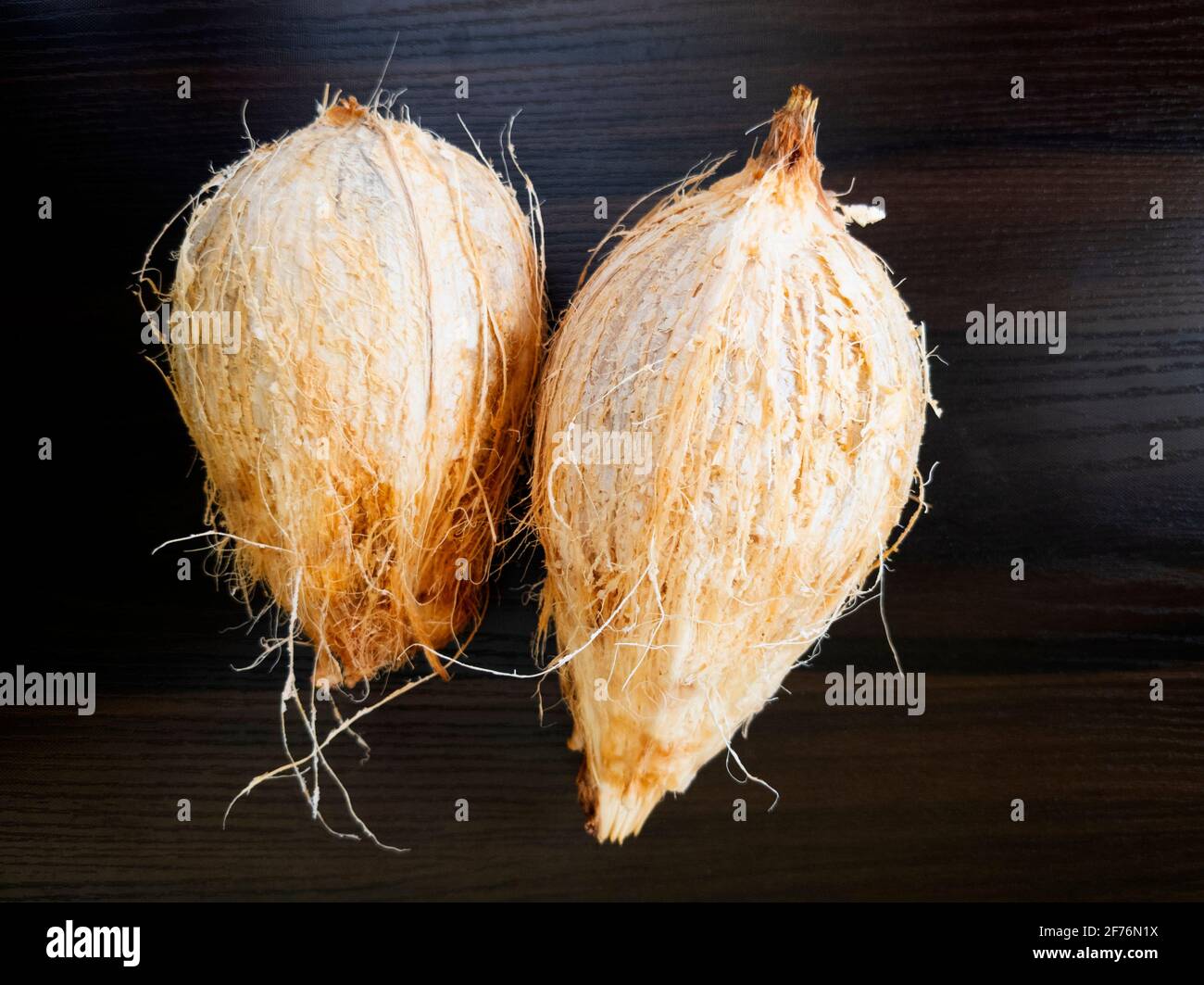 Blick von oben auf frische Kokosnüsse isoliert auf Holzhintergrund Stockfoto