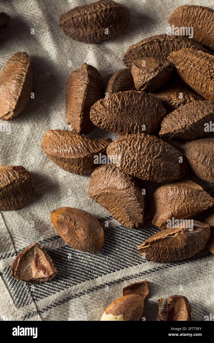 RAW Brown Organic Brazil Nüsse in der Schale Stockfoto