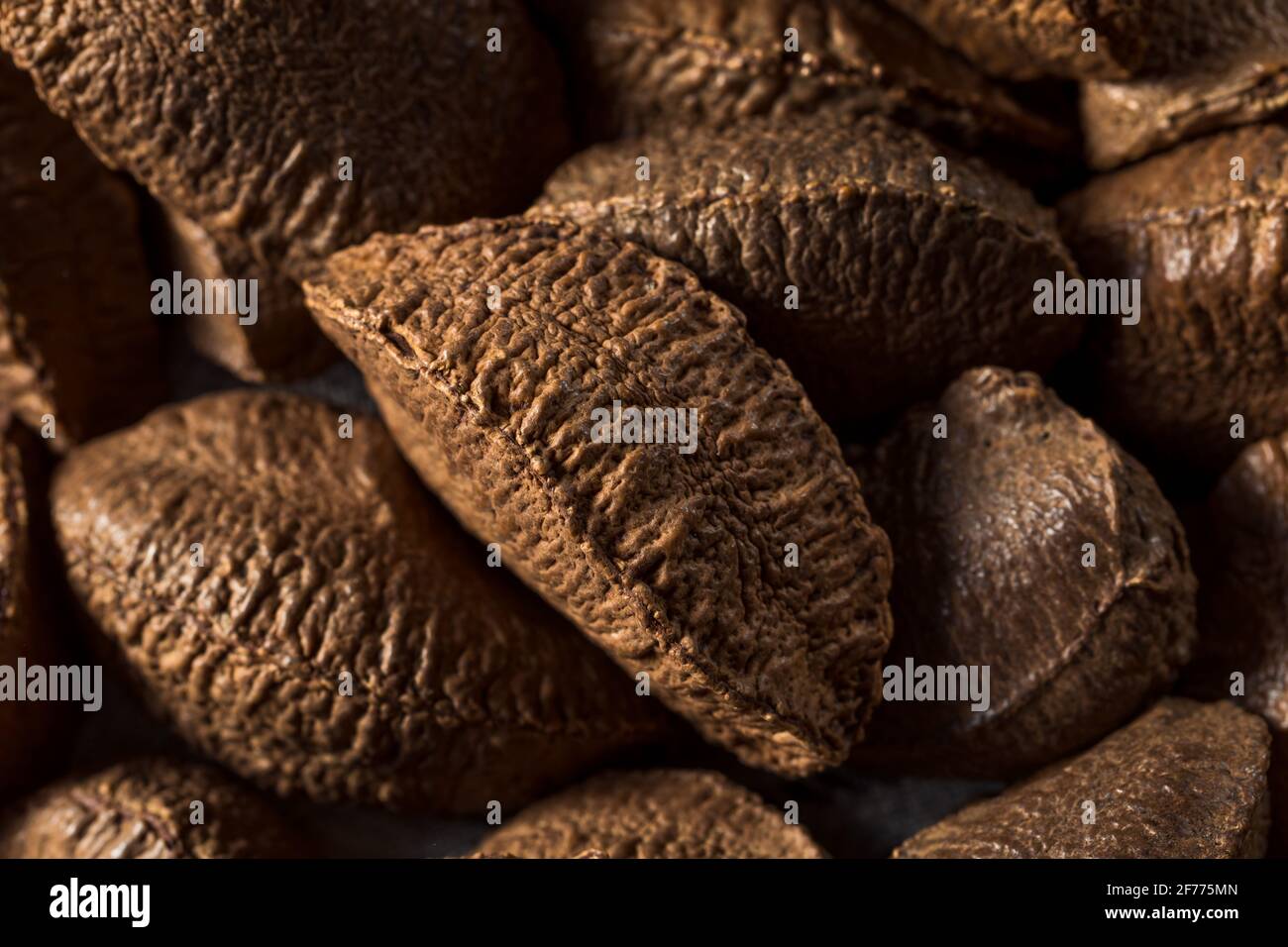 RAW Brown Organic Brazil Nüsse in der Schale Stockfoto