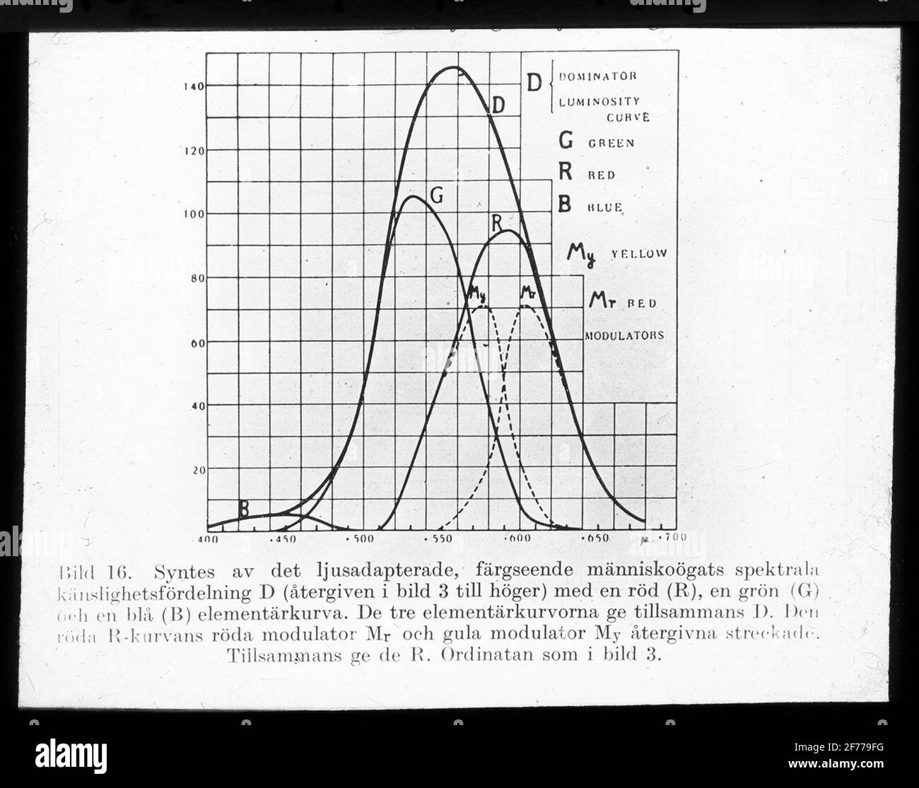 Skiopticon-Bild aus der Abteilung für Fotografie am Royal Institute of Technology. Verwendung durch Professor Helmer Bäckström als Vorlesungsmaterial. Bäckström war Schwedens erster Professor für Fotografie am Royal Institute of Technology in Stockholm 1948-1958.Diagramm der spektralen Empfindlichkeitsverteilung des menschlichen Auges.Kosmos. SCHWEDISCHE WISSENSCHAFTSPRESSE. Uppsals. 1945, S. 39. Stockfoto