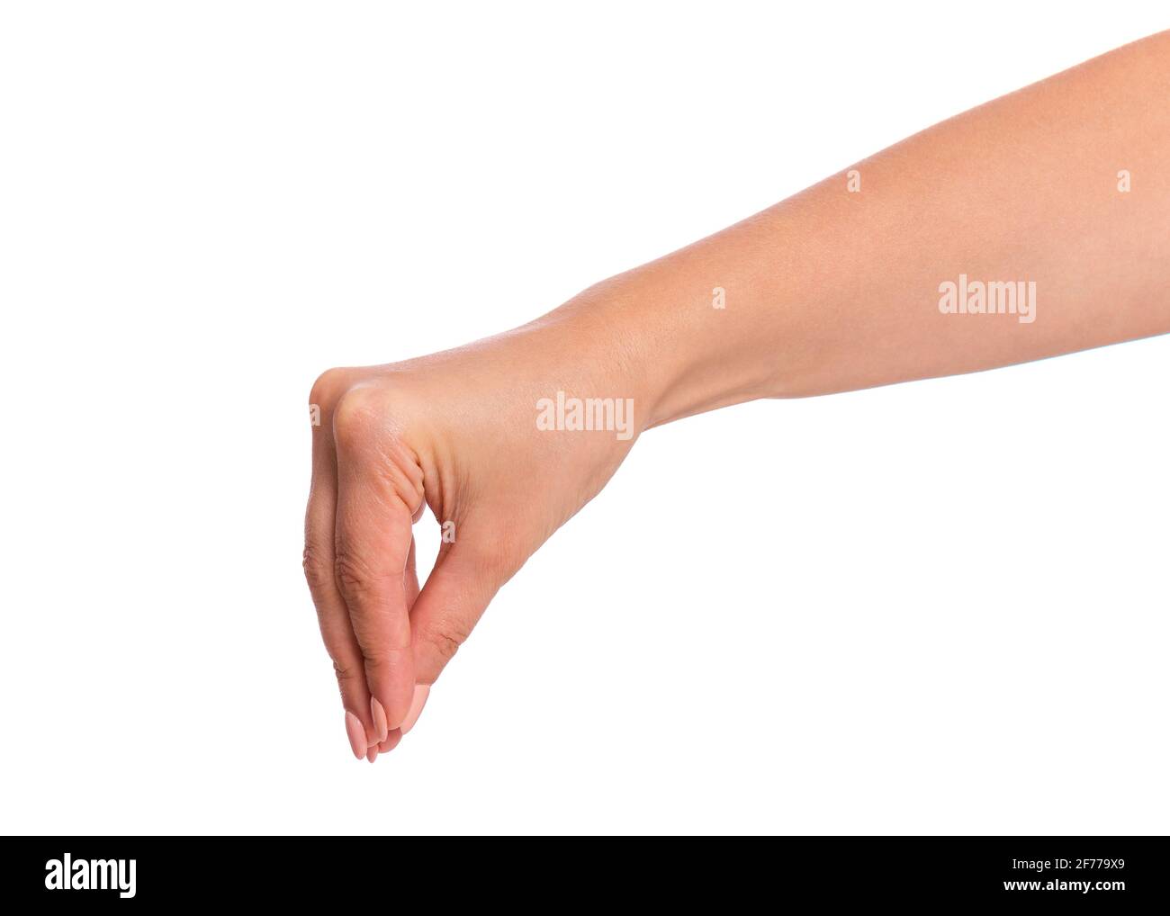 Weibliche Hand hält etwas, isoliert auf weißem Hintergrund. Schöne Hand der Frau mit Kopieplatz. Stockfoto