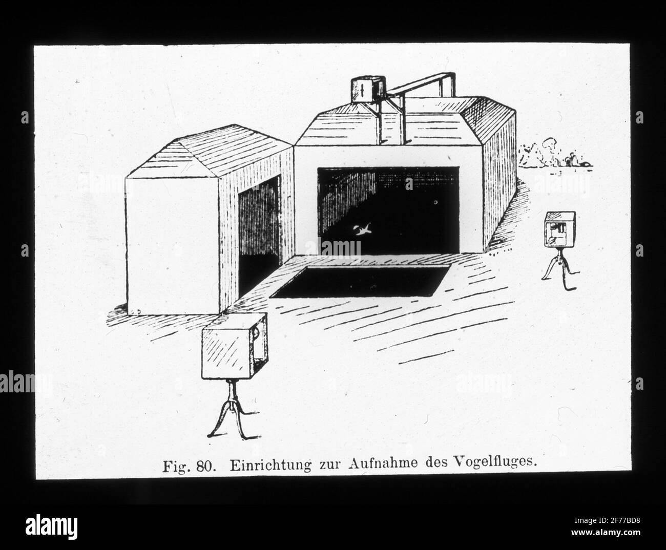 Skiopticon-Bild aus der Abteilung für Fotografie am Royal Institute of Technology. Verwendung durch Professor Helmer Bäckström als Vorlesungsmaterial. Bäckström war von 1948 bis 1958 Schwedens erster Professor für Fotografie am Royal Institute of Technology in Stockholm. Gerät für die Aufzeichnung des Vogelfluges. Stockfoto