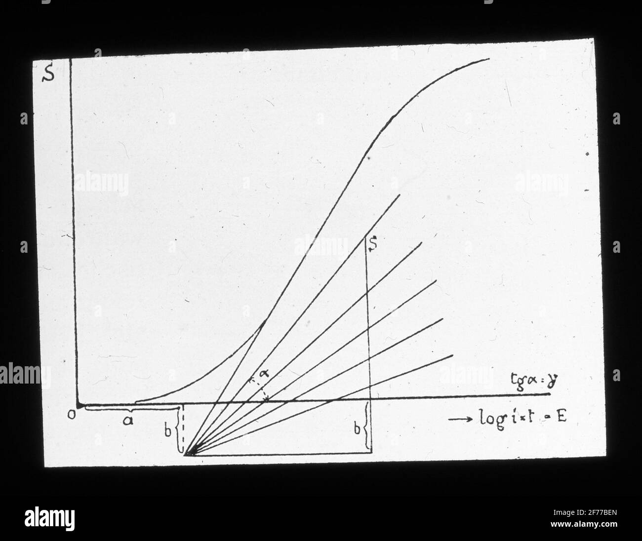 Skiopticon-Bild aus der Abteilung für Fotografie am Royal Institute of Technology. Verwendung durch Professor Helmer Bäckström als Vorlesungsmaterial. Bäckström war Schwedens erster Professor für Fotografie am Royal Institute of Technology in Stockholm von 1948 bis 1958.Typische Kurvenfamilien, die mit verschiedenen Entwicklungszeiten für die Tiefenentwicklung mit Kaliumbromid-Additiv gewonnen wurden. Die geraden Teile der Kurven wurden zu ihrem Schnittpunkt gezogen. Für weitere Informationen siehe: Bäckström, Helmer. Fotografisches Handbuch. Natur und Kultur. Stockholm. 1942. S. 272. Stockfoto
