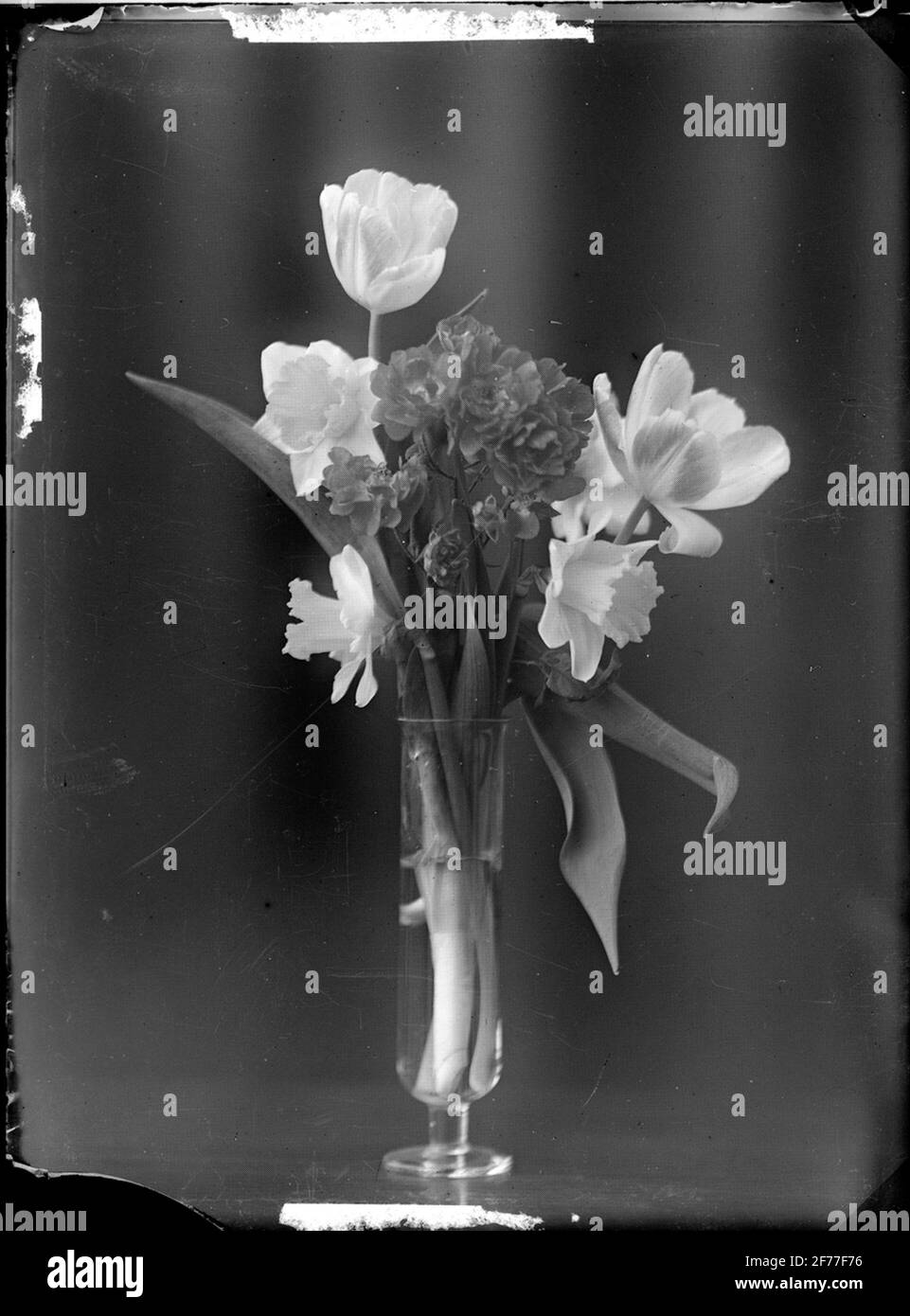 Bild aus der Abteilung für Fotografie am Royal Institute of Technology. Blumen in Vase. Stockfoto
