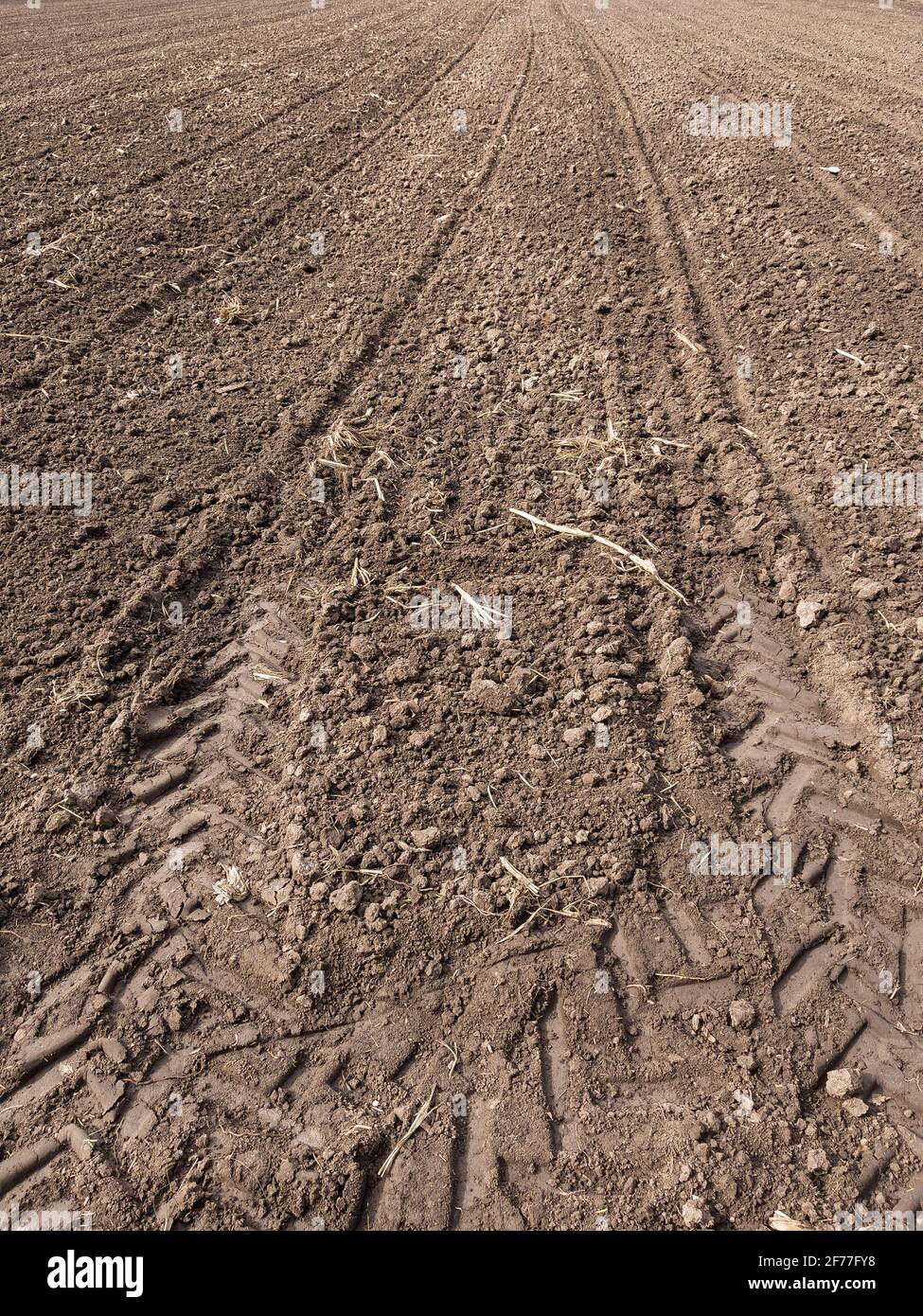 Ackerland. Vorbereitung des Feldes für die Pflanzung. Gepflügte Erde im Frühling. Landwirtschaftliche Arbeit. Stockfoto