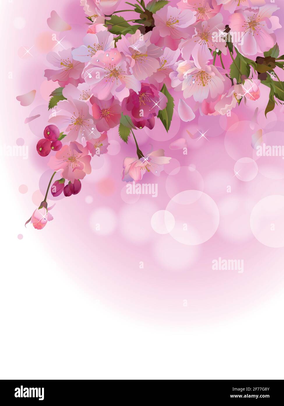 Vektor vertikalen Hintergrund mit Sakura Baum Blumen Zweig Stock Vektor