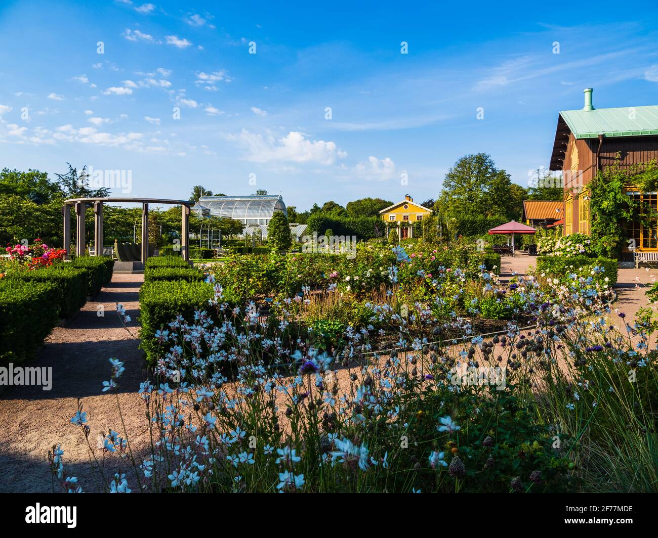 GÖTEBORG, SCHWEDEN - 17. AUGUST 2020: Garten mit Blumen Stockfoto