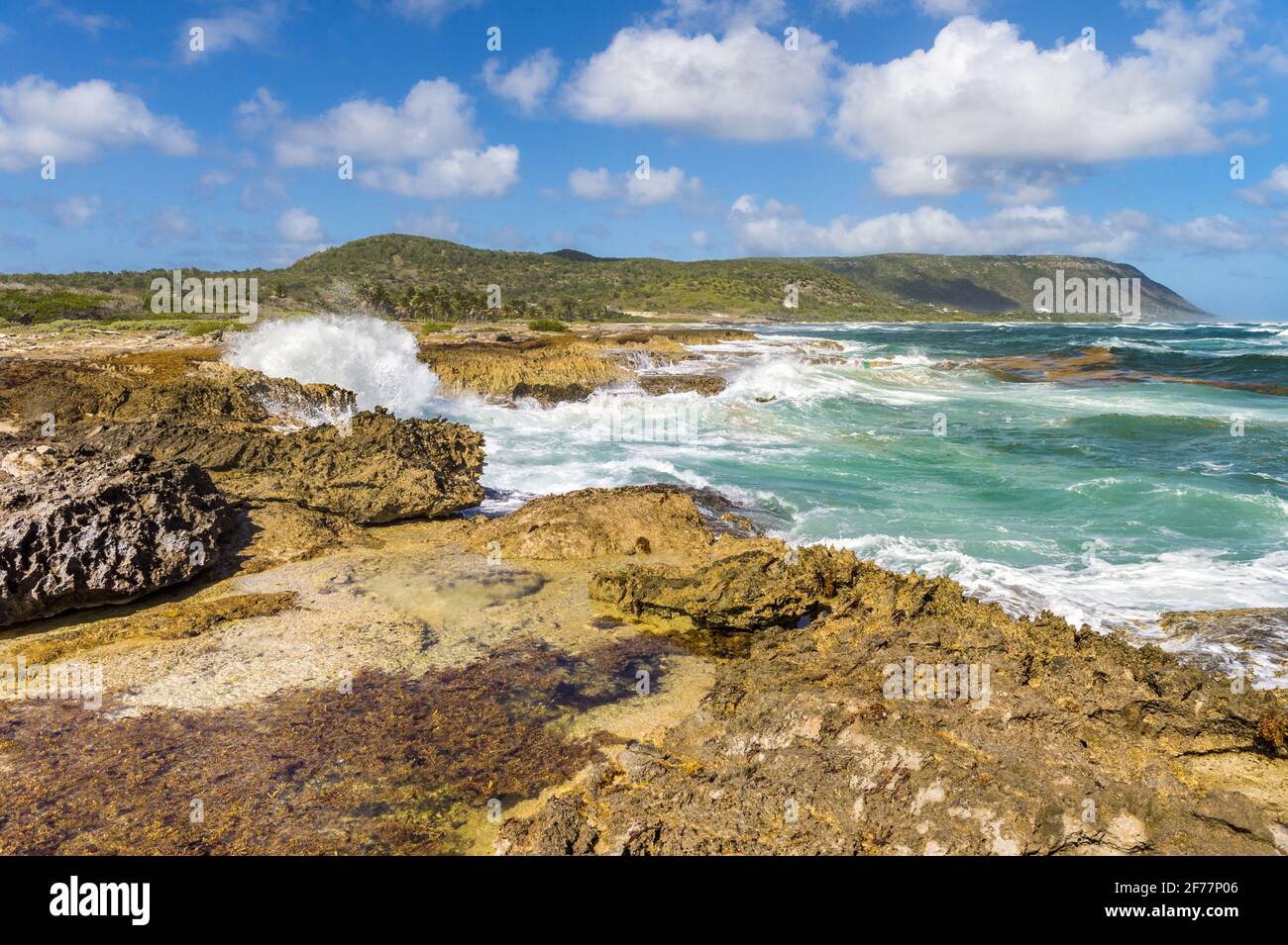 Frankreich, Karibik, Französisch-Westindien, Guadeloupe, Insel La Désirade, Beausejour, Blick auf die Küste der Südspitze der Insel Stockfoto