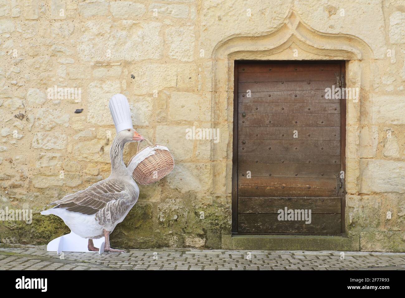 Frankreich, Dordogne, Perigord Blanc, Perigueux, Konditorei (Francony- oder Franconi-Haus oder Tenant-Haus) aus dem 14. Jahrhundert mit einer Gans, die den Fettmarkt von Perigueux fördert Stockfoto