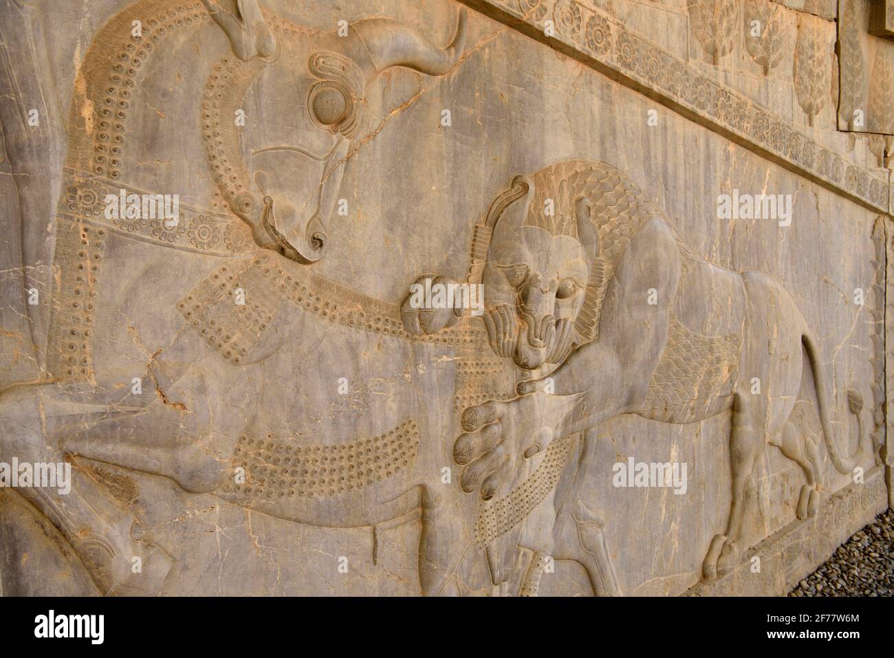 Iran, Persepolis, von der UNESCO zum Weltkulturerbe erklärt, Apadana-Osttreppe, Bas-Relief eines Löwen, der einen Stier angreift der Löwenbullen-Kampf wird argumentiert, den ewigen Zyklus von Tag und Nacht darzustellen, wobei der Löwe die Sonne und der Stier die Nacht darstellt. Es wird auch als symbolische Darstellung astronomischer und saisonaler Ereignisse wie Nowruz, dem iranischen Neujahr, gesehen Stockfoto