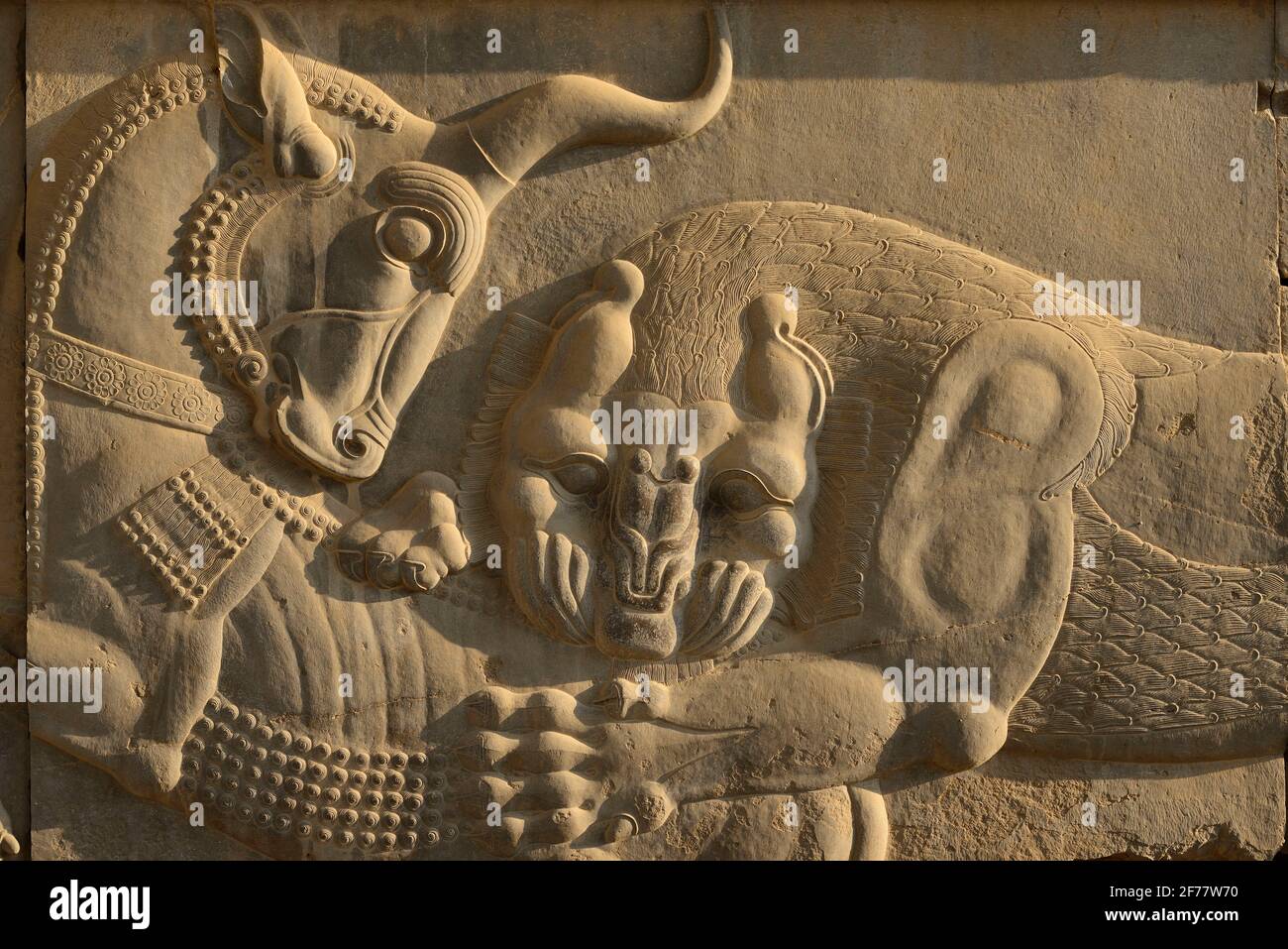 Iran, Persepolis, von der UNESCO zum Weltkulturerbe erklärt, Apadana-Osttreppe, Bas-Relief eines Löwen, der einen Stier angreift der Löwenbullen-Kampf wird argumentiert, den ewigen Zyklus von Tag und Nacht darzustellen, wobei der Löwe die Sonne und der Stier die Nacht darstellt. Es wird auch als symbolische Darstellung astronomischer und saisonaler Ereignisse wie Nowruz, dem iranischen Neujahr, gesehen Stockfoto