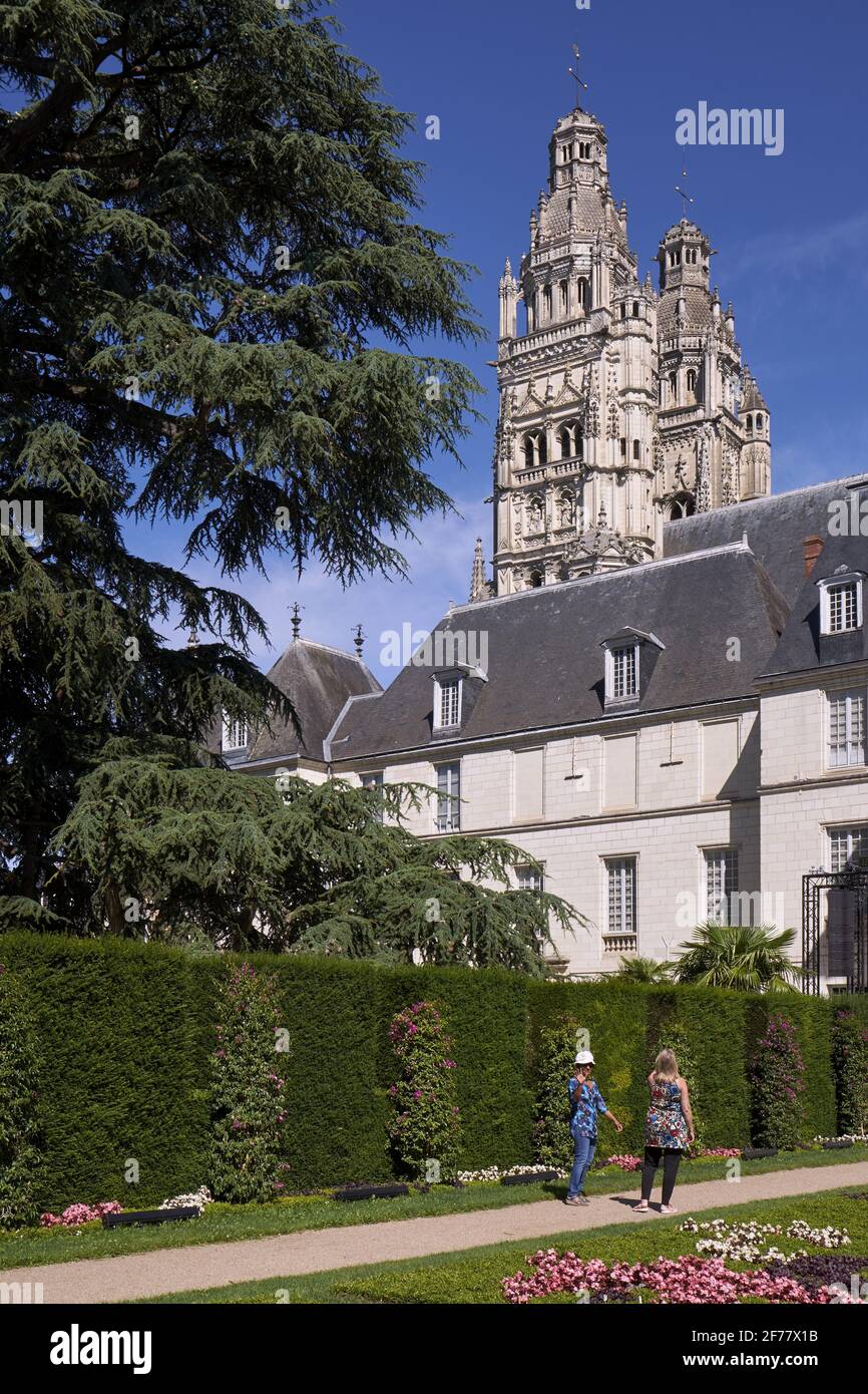 Frankreich, Indre et Loire, Tours, die Kathedrale Saint Gatien und die Zeder des Libanon bemerkenswerter Baum Frankreichs, der 1804 im Jardin des Beaux Arts gepflanzt wurde Stockfoto