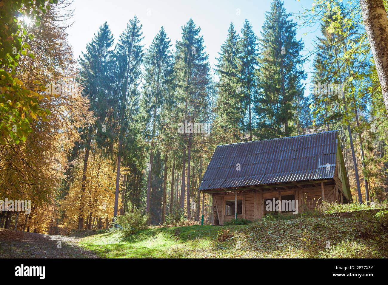 Altes Holzhaus im schönen Wald im Herbst. Stockfoto