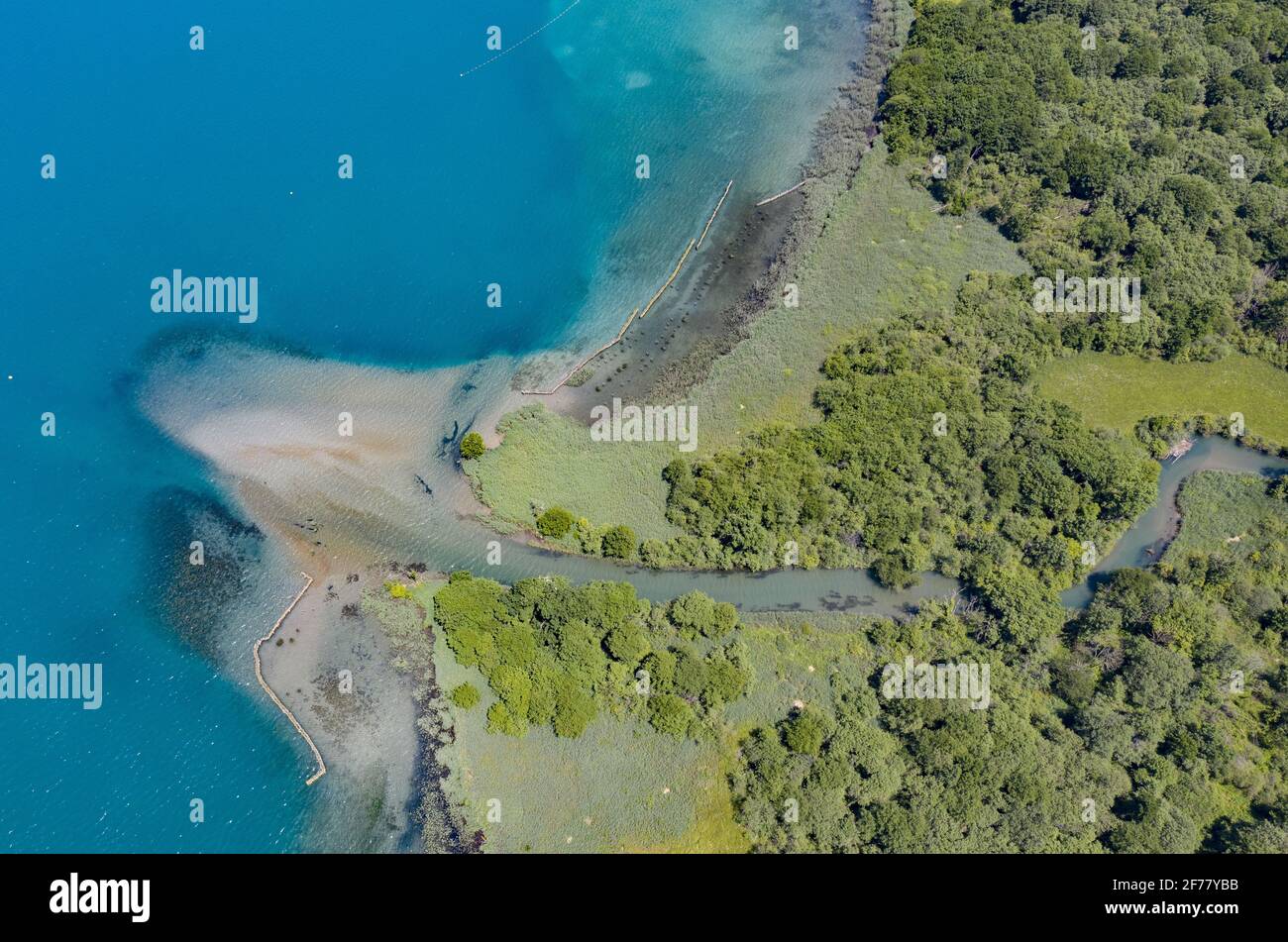 Frankreich, Haute Savoie, Annecy, Lake Annecy, das Ende des in Doussard gelegenen Seereservats, ist eine Natura 2000-Zone, die 1974 klassifiziert wurde und mit einer Fläche von mehr als 80 Hektar von zwei Flüssen, Eau Morte und l'IRE, durchquert wird (Eines der letzten nicht kanalisierten Deltas in Frankreich), die den See Annecy und Delight Beavers füttern (Luftaufnahme) Stockfoto