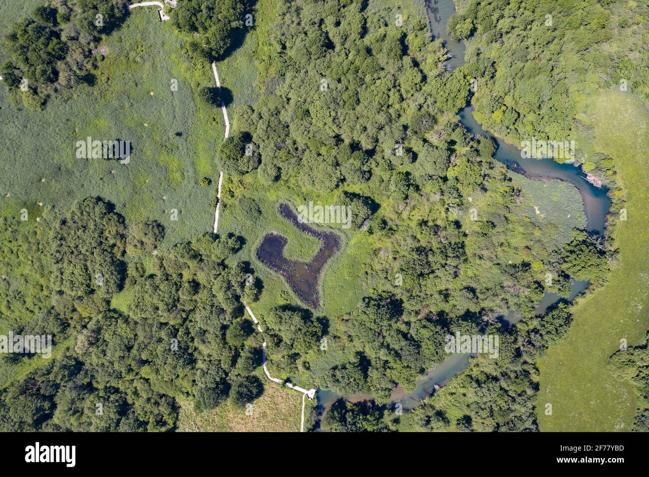 Frankreich, Haute Savoie, Annecy, Lake Annecy, das Ende des in Doussard gelegenen Seereservats, ist eine Natura 2000-Zone, die 1974 klassifiziert wurde und mit einer Fläche von mehr als 80 Hektar von zwei Flüssen, Eau Morte und l'IRE, durchquert wird (Eines der letzten nicht kanalisierten Deltas in Frankreich), die den See Annecy und Delight Beavers füttern (Luftaufnahme) Stockfoto