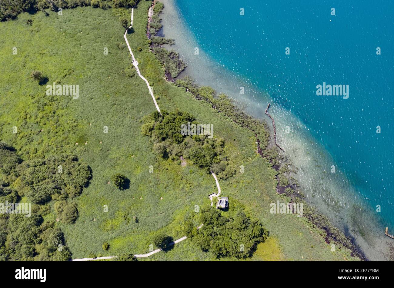 Frankreich, Haute Savoie, Annecy, Lake Annecy, das Ende des in Doussard gelegenen Seereservats, ist eine Natura 2000-Zone, die 1974 klassifiziert wurde und mit einer Fläche von mehr als 80 Hektar von zwei Flüssen, Eau Morte und l'IRE, durchquert wird (Eines der letzten nicht kanalisierten Deltas in Frankreich), die den See Annecy und Delight Beavers füttern (Luftaufnahme) Stockfoto