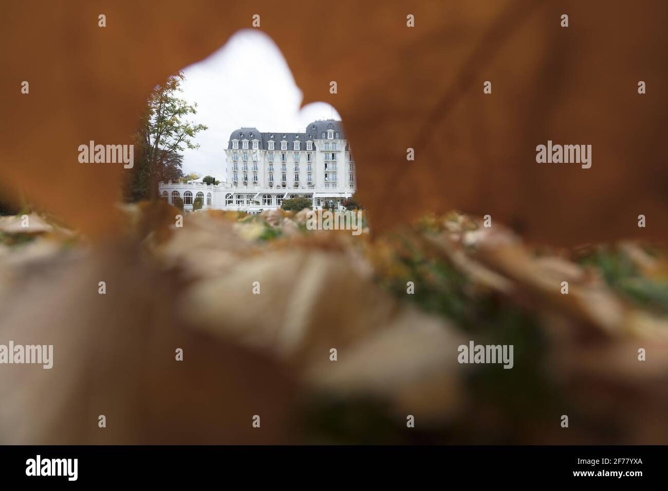 Frankreich, Haute Savoie, Annecy, Blick auf den Kaiserpalast durch ein auf den Boden gefallenes Platanenblatt Stockfoto