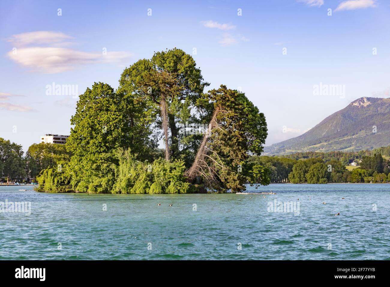 Frankreich, Haute Savoie, Annecy, Lake Annecy, Schwaneninsel Stockfoto