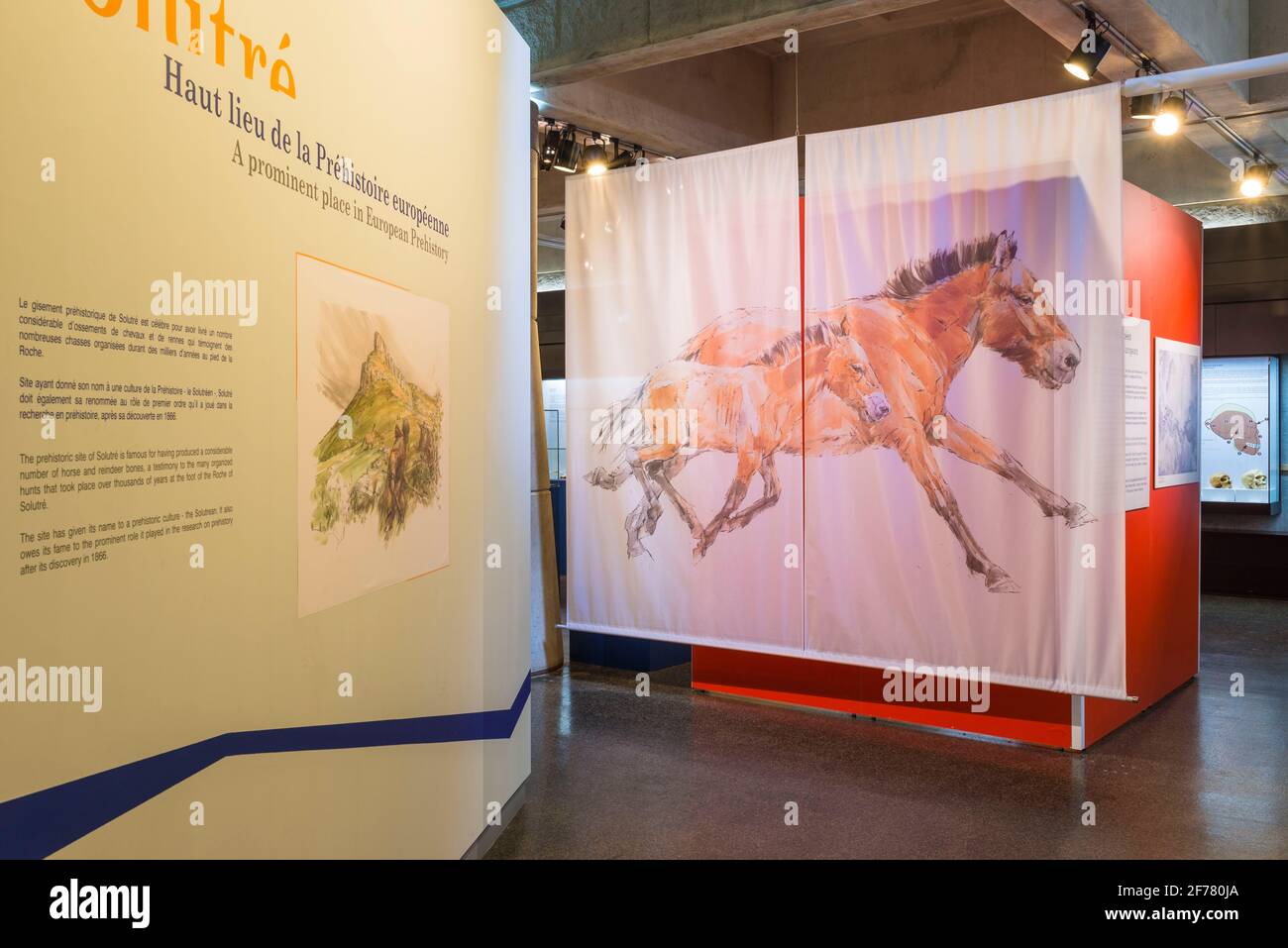 Frankreich, Saône-et-Loire, Solutre-Pouilly, Departmental Museum of Prehistory Stockfoto