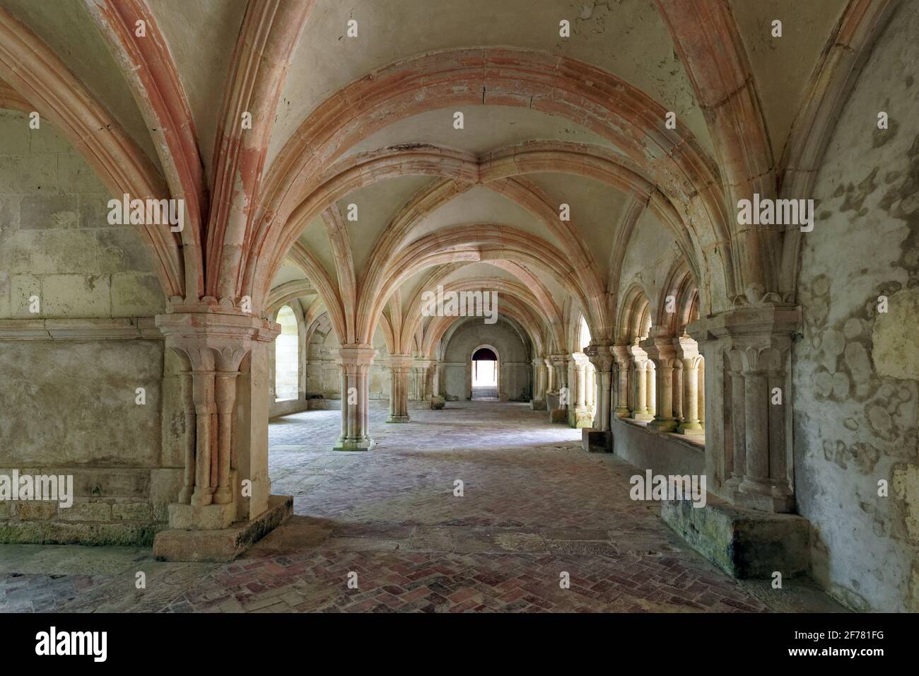 Frankreich, Cote d'Or, Marmagne, die zisterzienserabtei von Fontenay, die von der UNESCO zum Weltkulturerbe erklärt wurde, der Kreuzgang, das Skriptorium Stockfoto